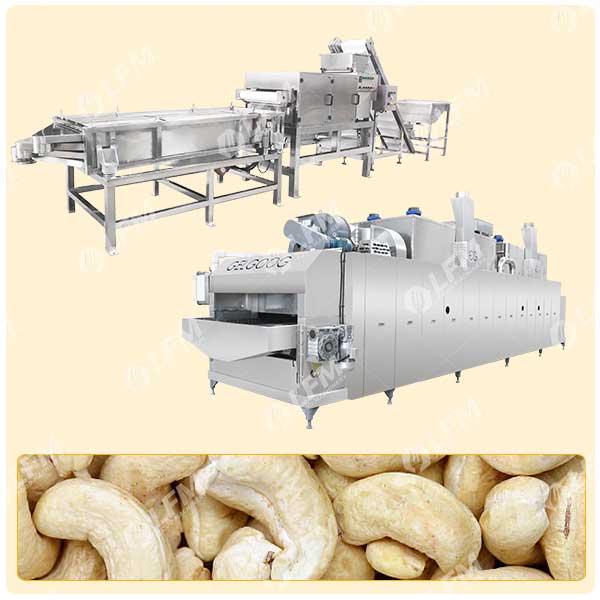 معدات الكاجو المحمص والمفروم 500 كجمساعة (4) معدات الكاجو المحمص والمفروم 500 كجمساعة